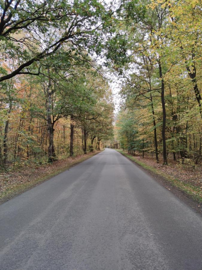 Landbrise Villa Petersfeld Eksteriør bilde